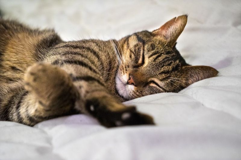 Flexible Sleep Duration