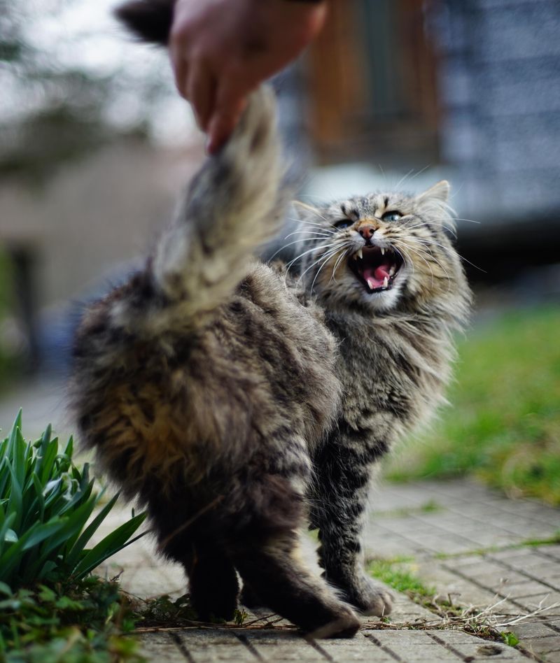 Focusing Too Much on the Tail