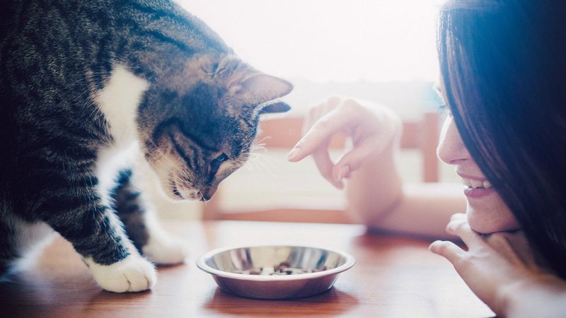 Food Trust Transfer