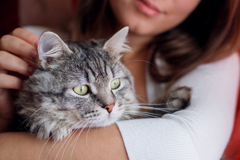 Forcing Petting When They're Not in the Mood