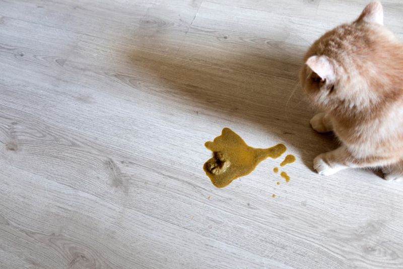 Gastrointestinal Problems