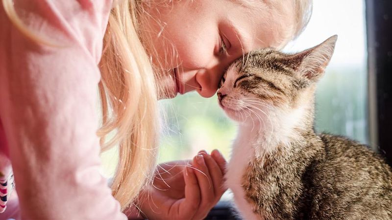 Gentle Headbutts