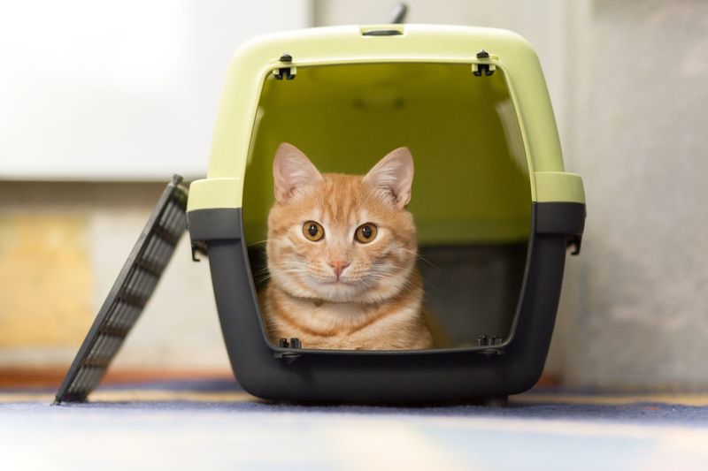 Gentle Introduction to Carriers
