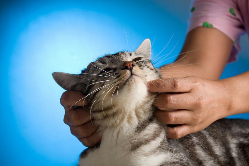 Gentle Massage Sessions