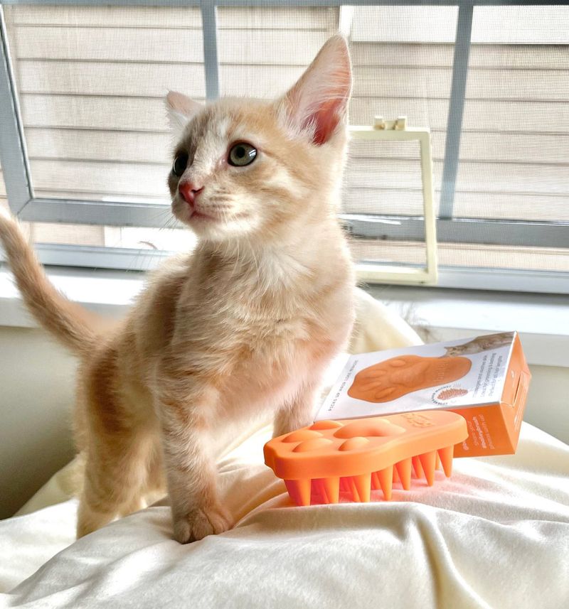 Gentle Massage and Brushing