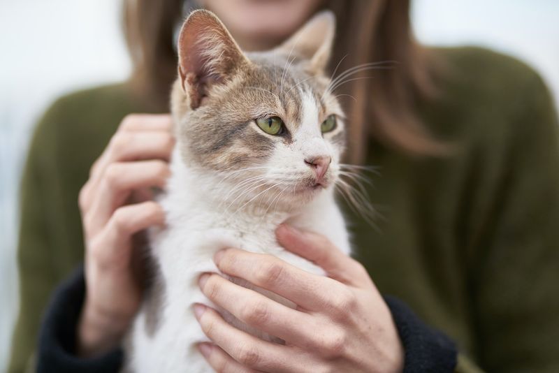 Gentle Touch Techniques