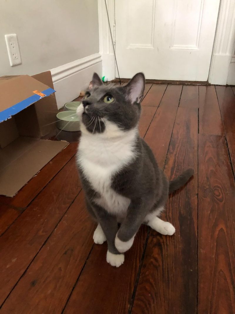 Greeting You At The Door