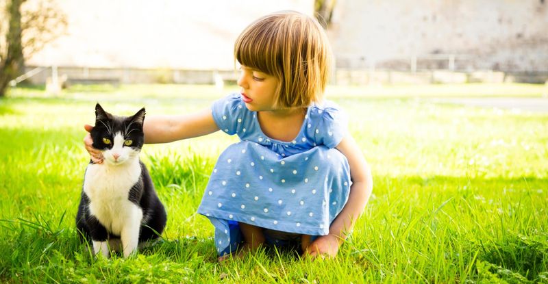 Grief Processing Partners