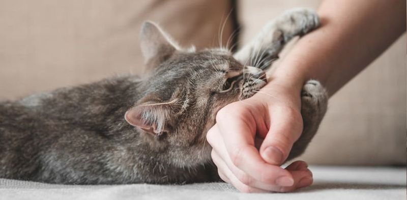 Grooming You