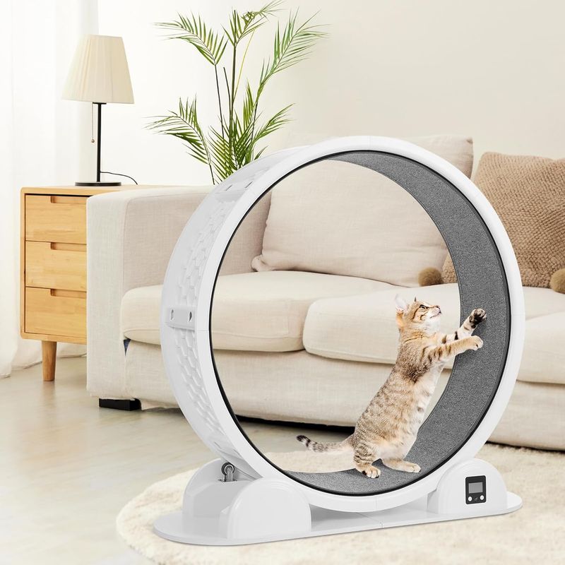 HOVONO Cat Exercise Wheel with Pedometer