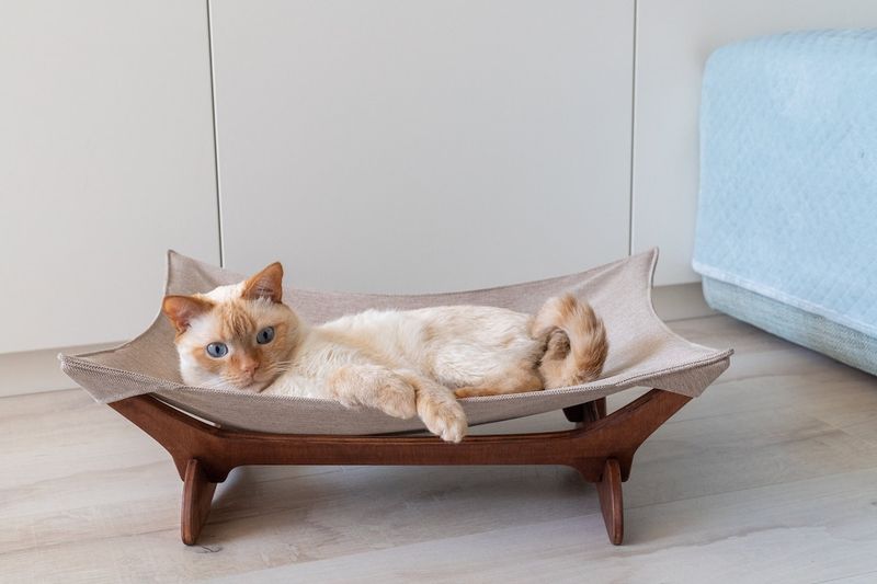 Hammock Style Bed