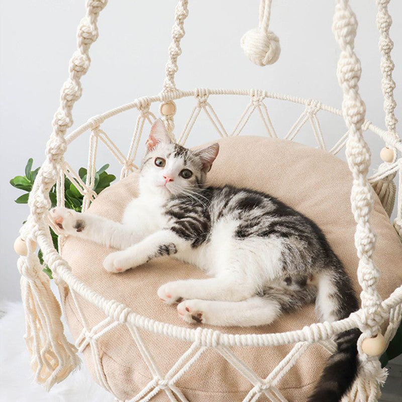 Hanging Basket Bed