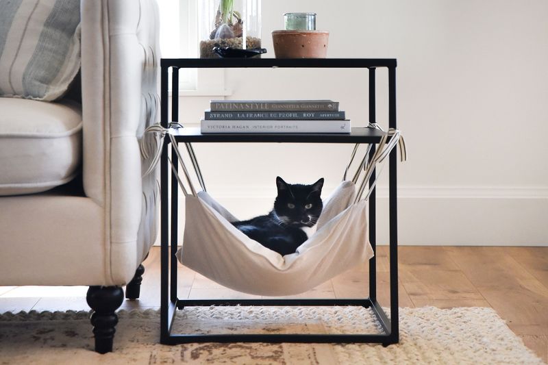 Hanging Cat Hammock