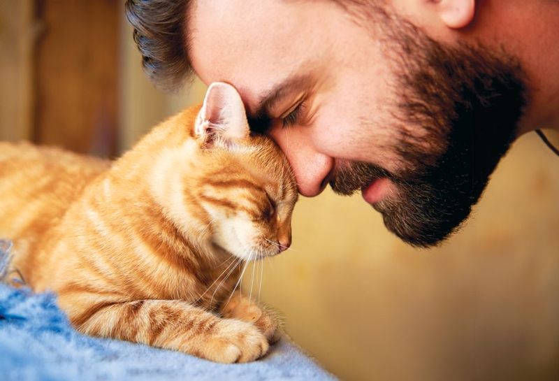 Headbutts and Cheek Rubs