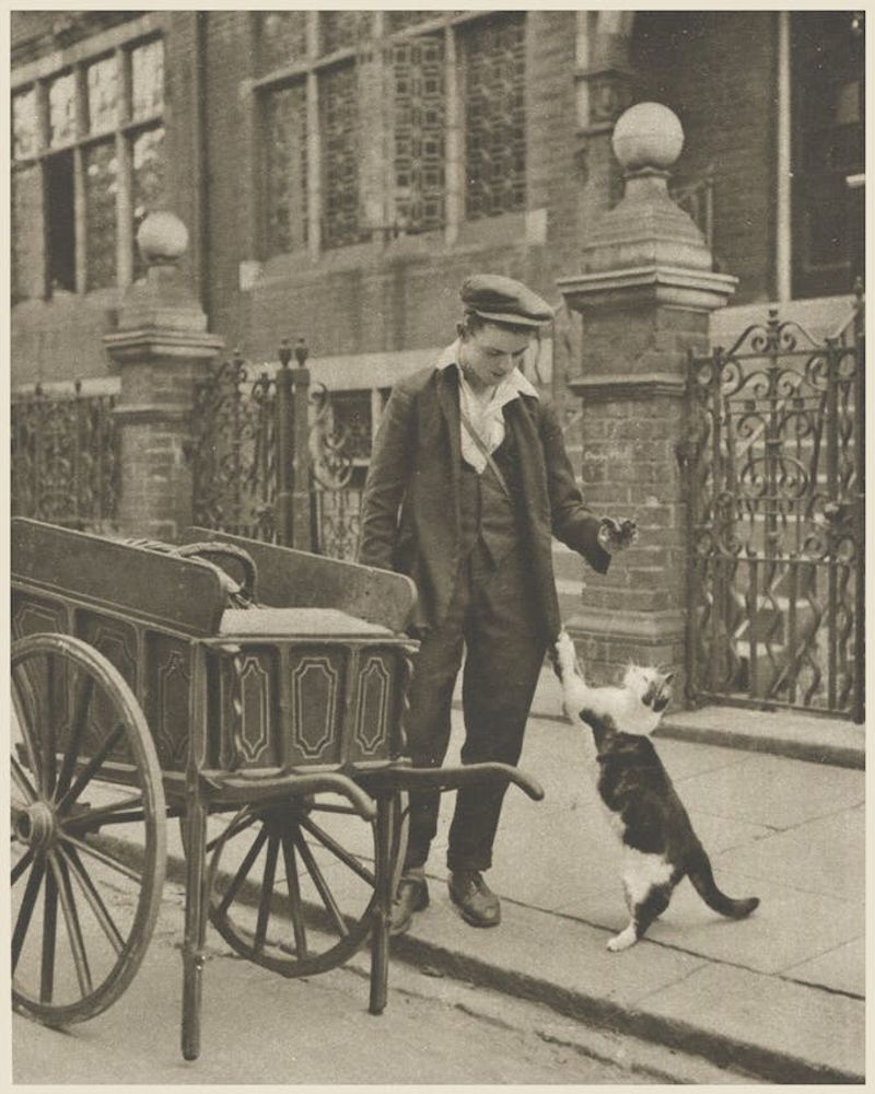 Historical Context: Evolution of Cat Feeding