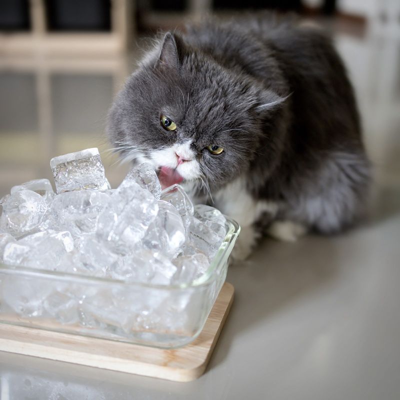 Ice Cube Water Play