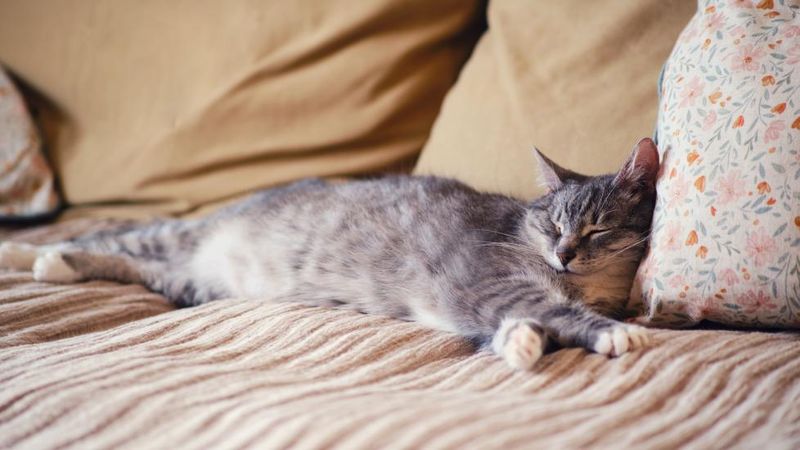 Ignoring Subtle Behavior Changes