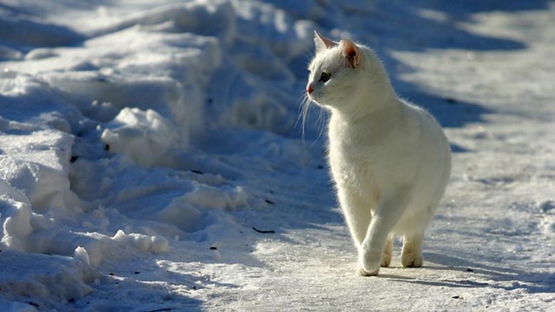 Ignoring Weather Extremes