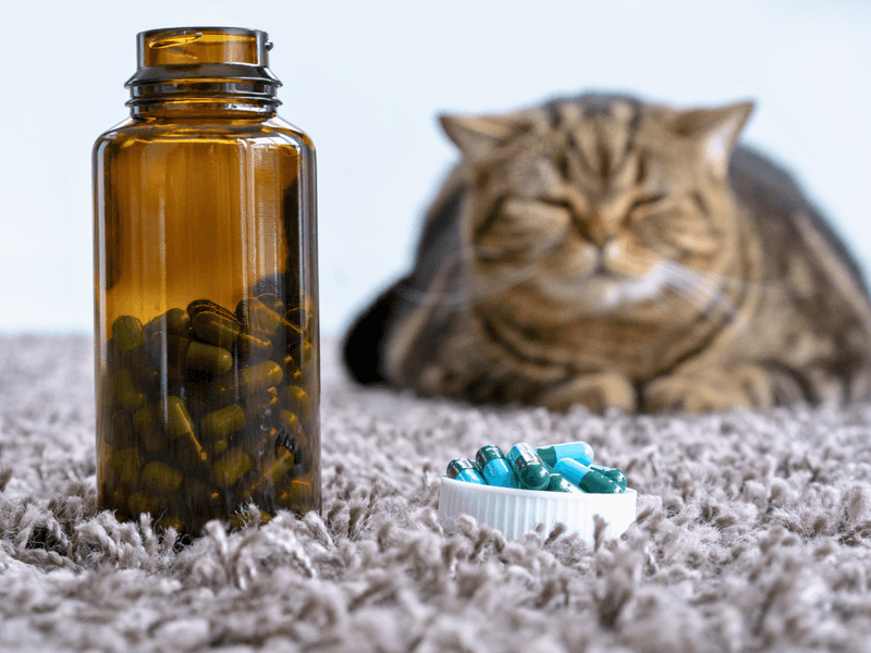 Improper Medication Administration