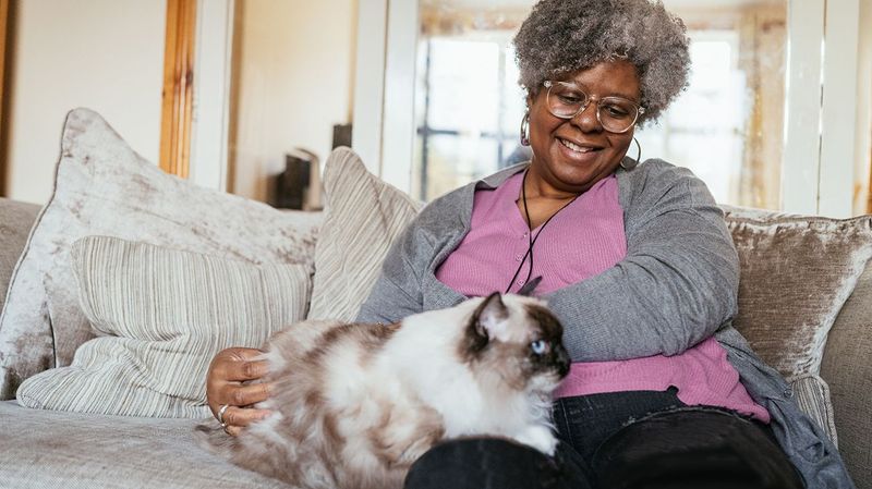 Improved Cardiovascular Health