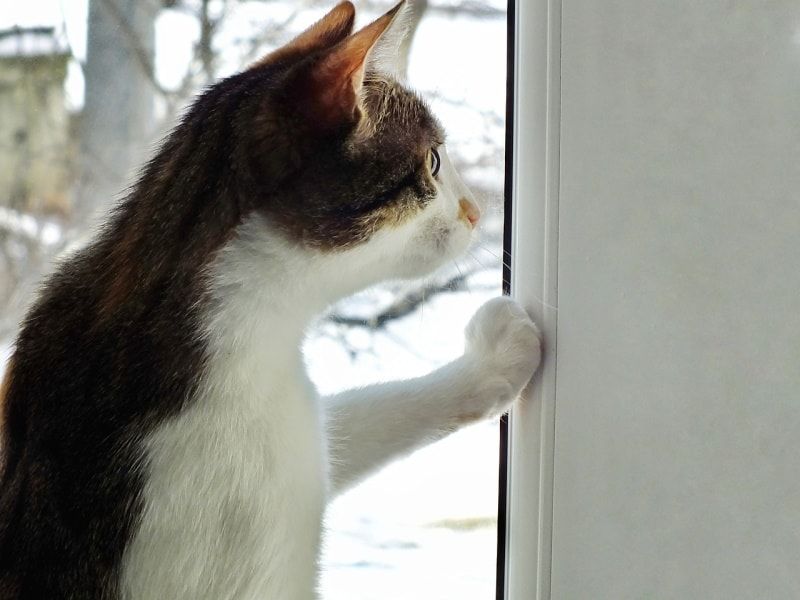 Increased Demand For Door Opening Services