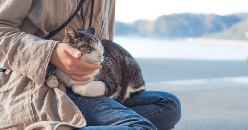 Independence That Prevents Codependency