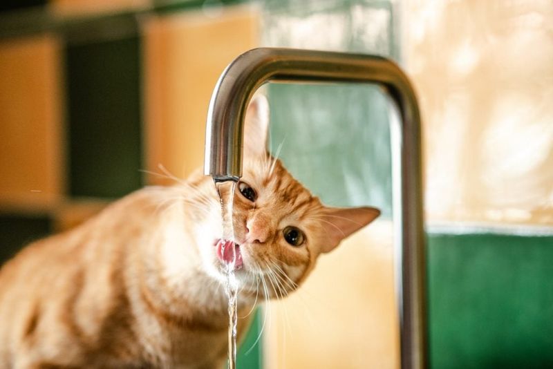 Intense Fascination with Running Water