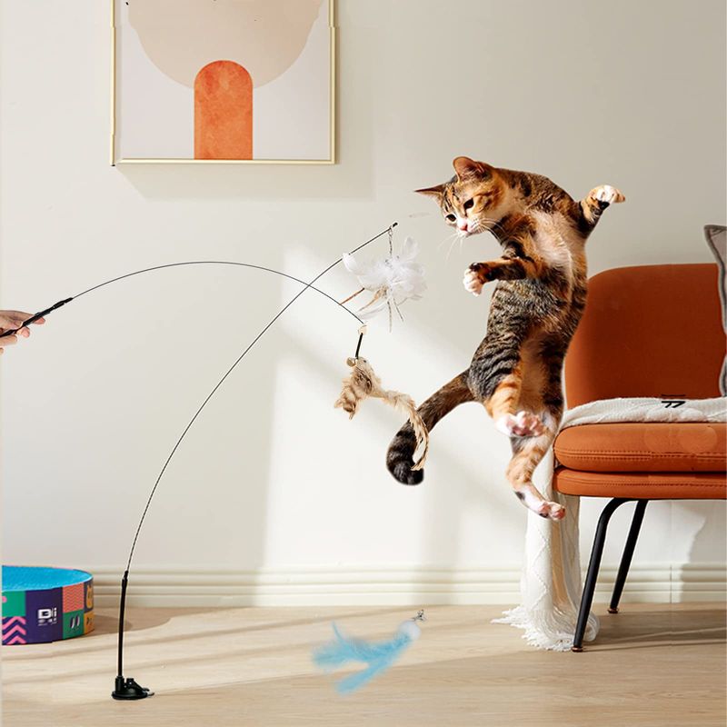 Interactive Play