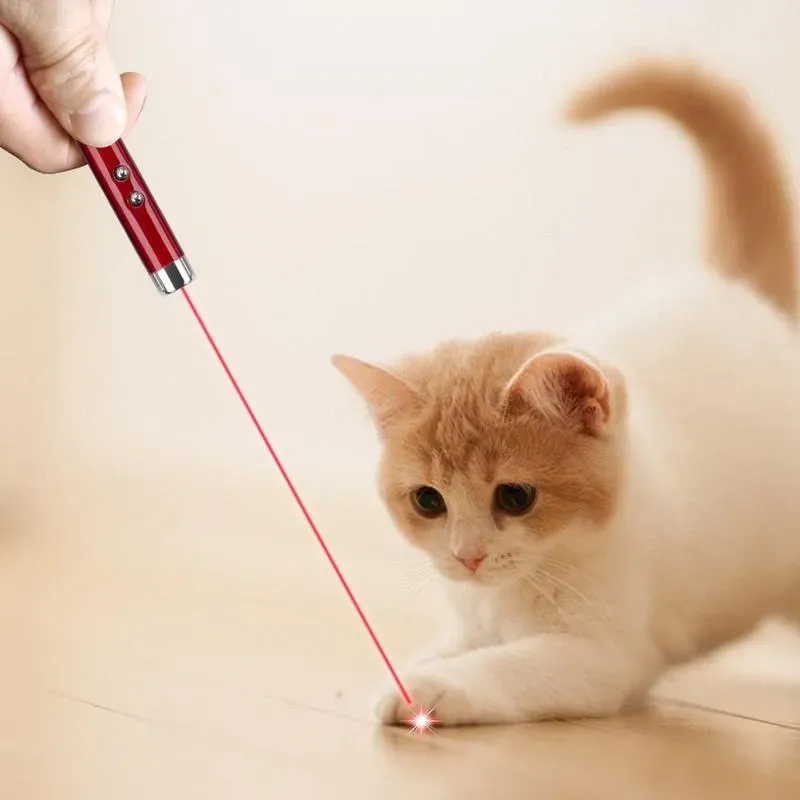 Interactive Toys