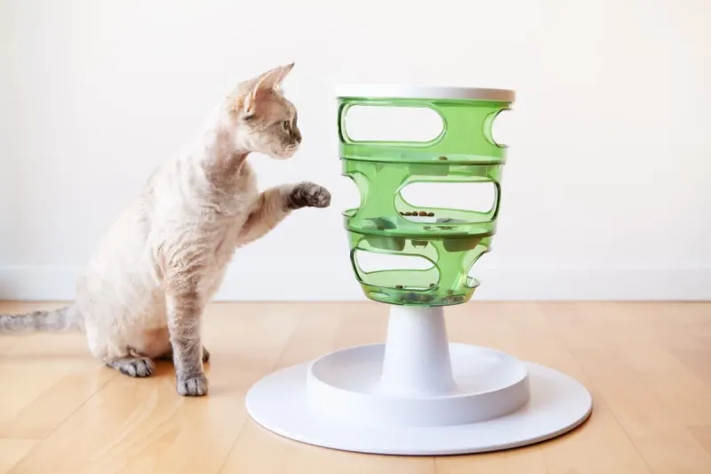 Introduce Puzzle Feeders and Food Games