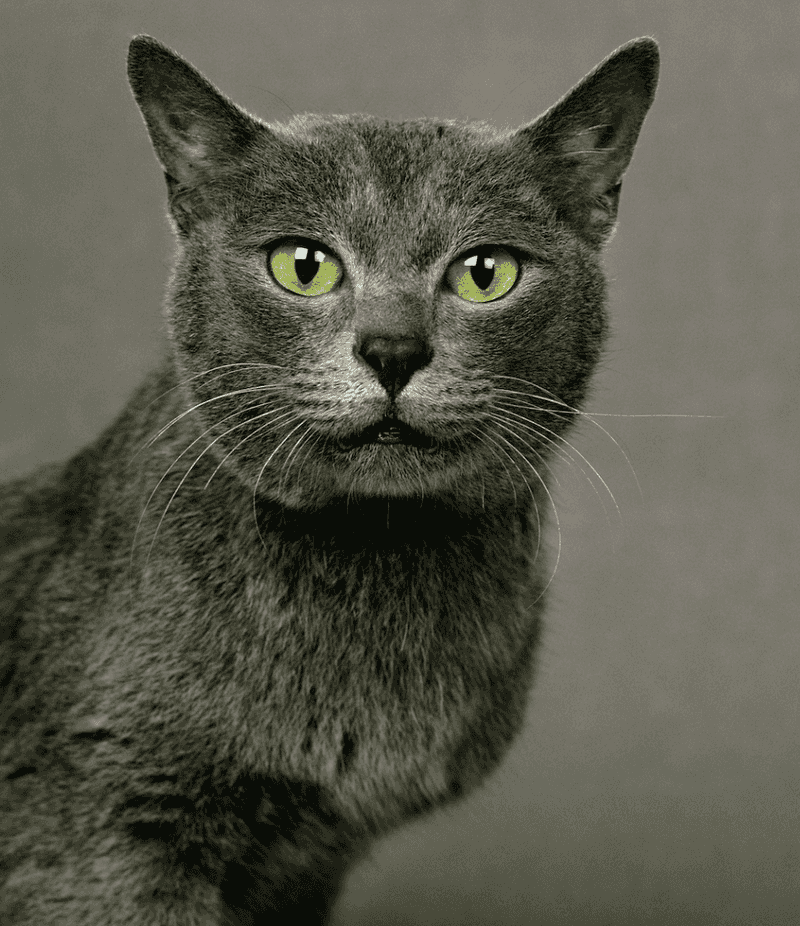 Korat