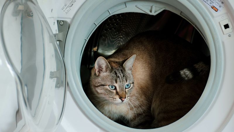 Leave Appliances Running
