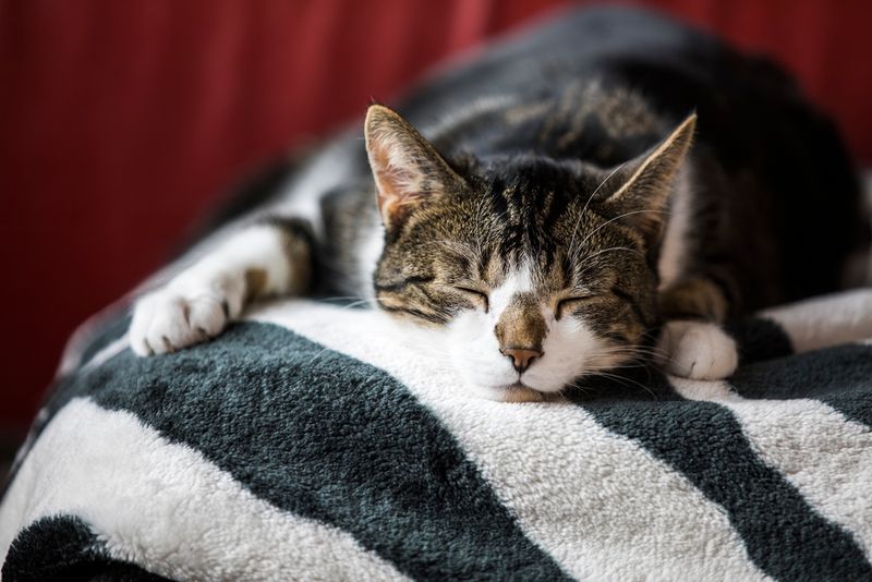 Lethargy & Withdrawal