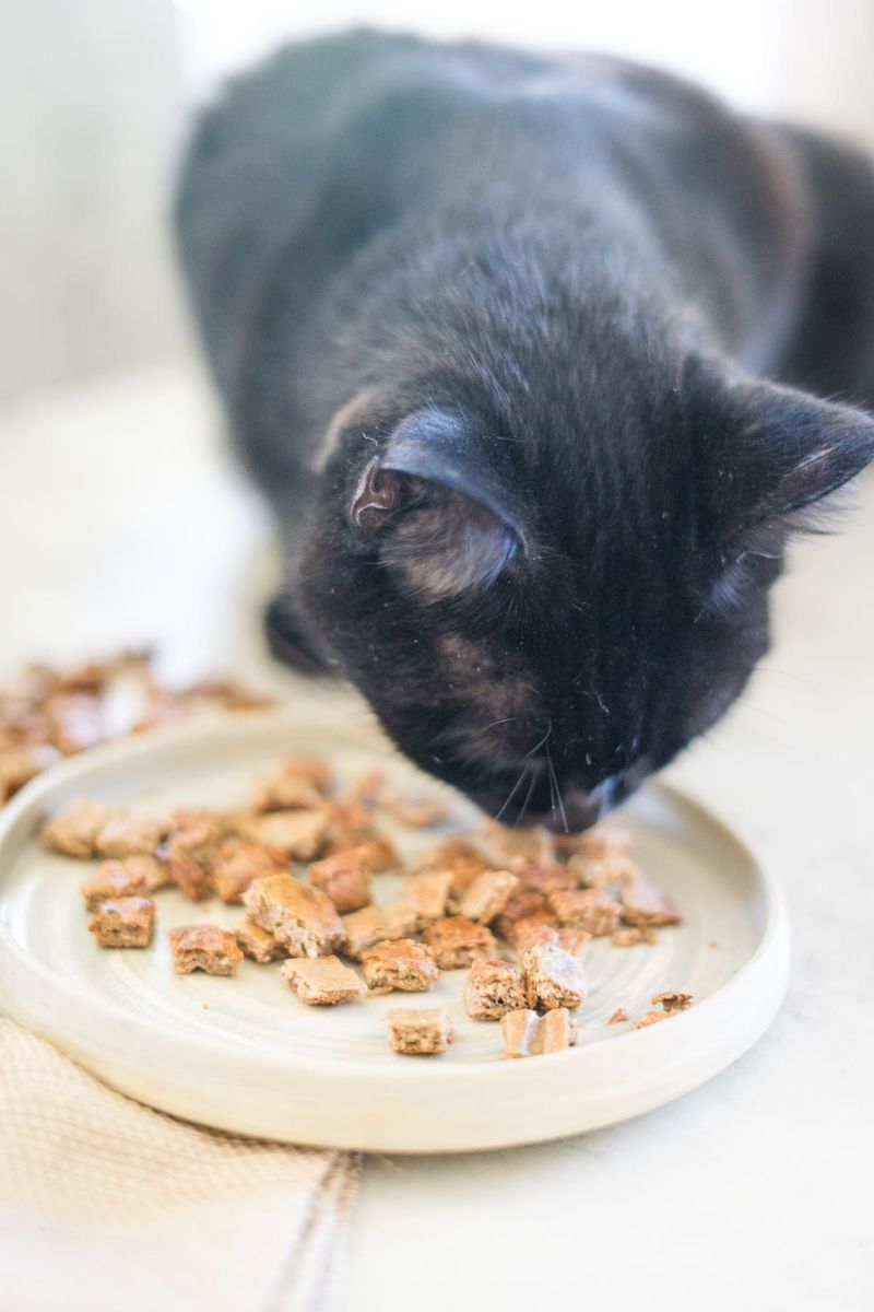 Liver: Nutrient-Rich Occasional Treat