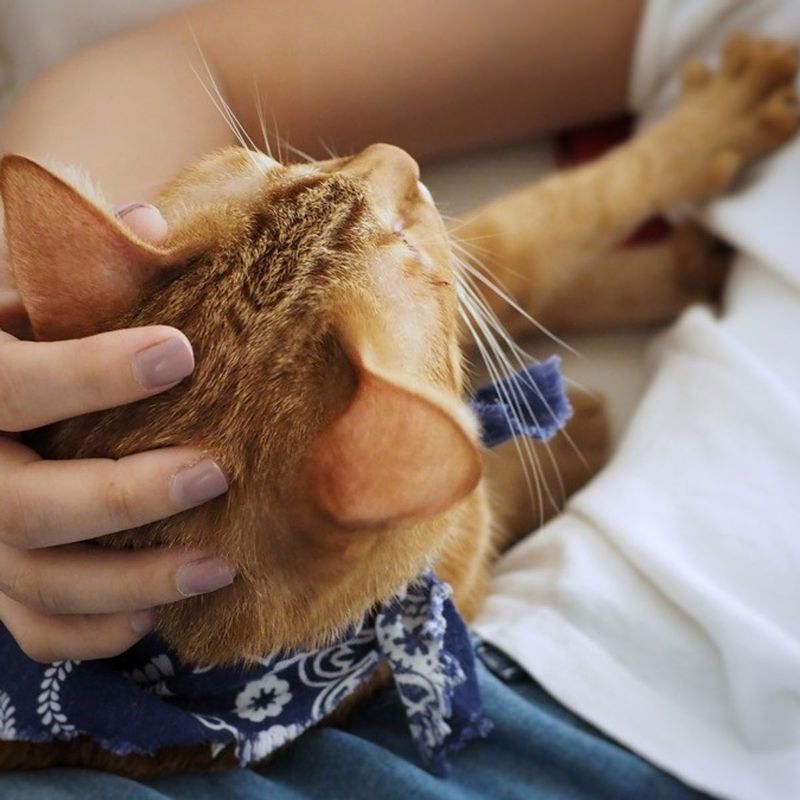 Making Biscuits on You