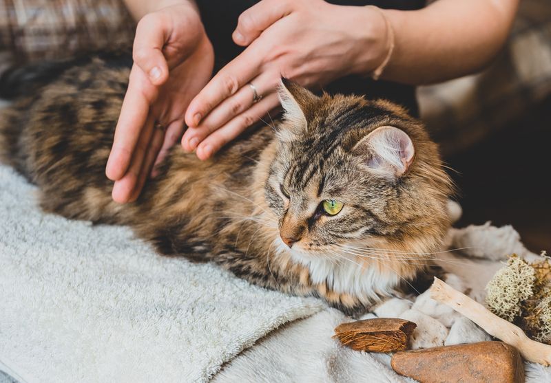 Massage Therapy Relieves Muscle Tension
