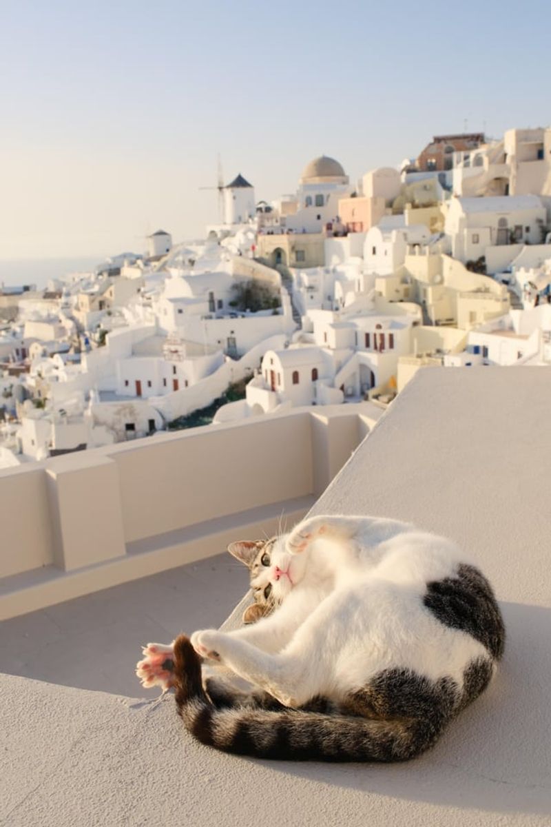 Master the Art of Patience on Greek Islands