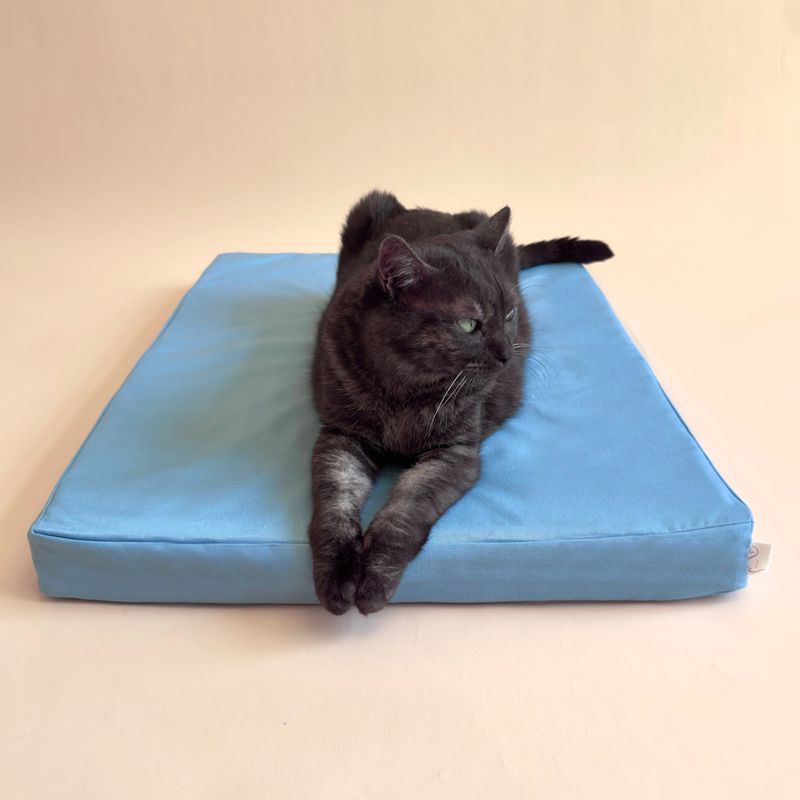 Memory Foam Beds Support Aging Bodies