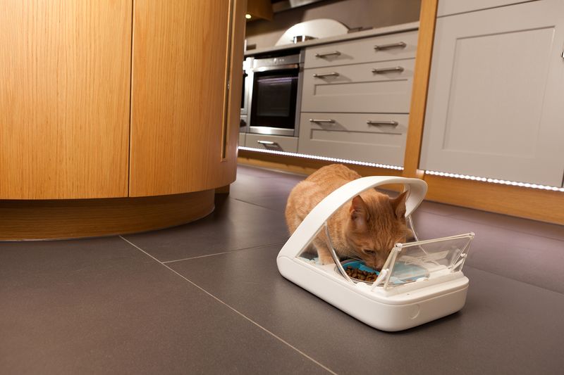 Microchip-Activated Cat Feeder