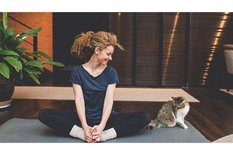 Mindfulness Teachers