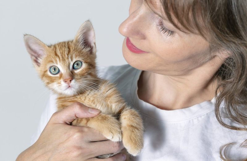 Move at Your Cat's Pace