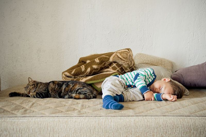 Natural Sleep Companions