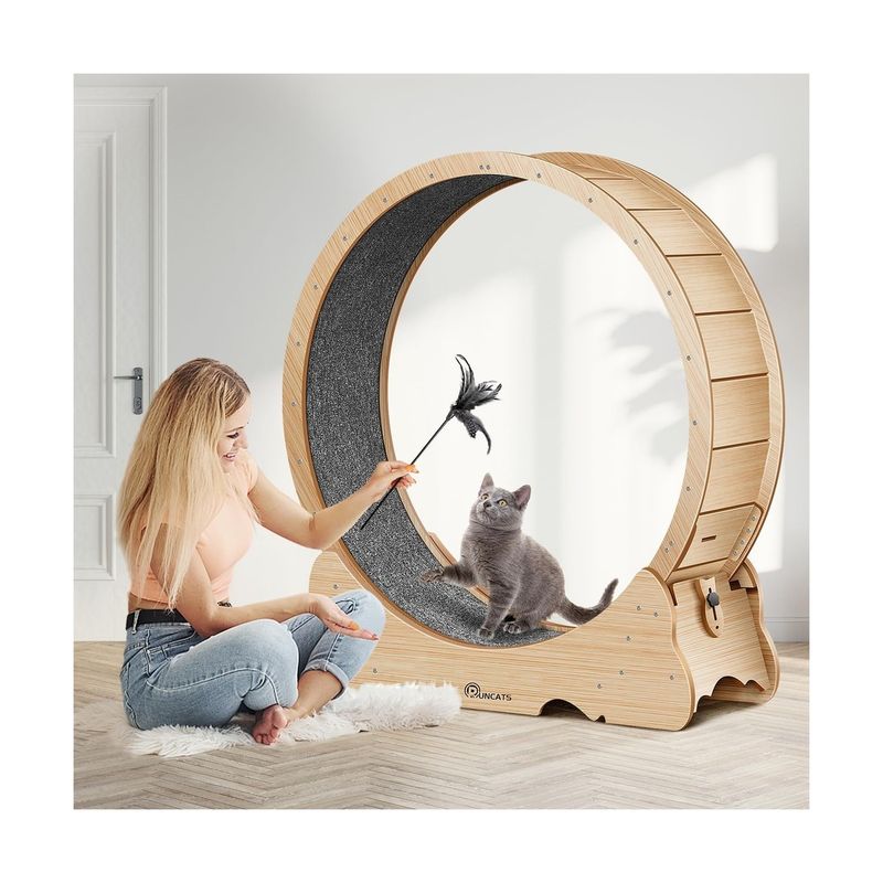 Naviconvex Cat Wheel