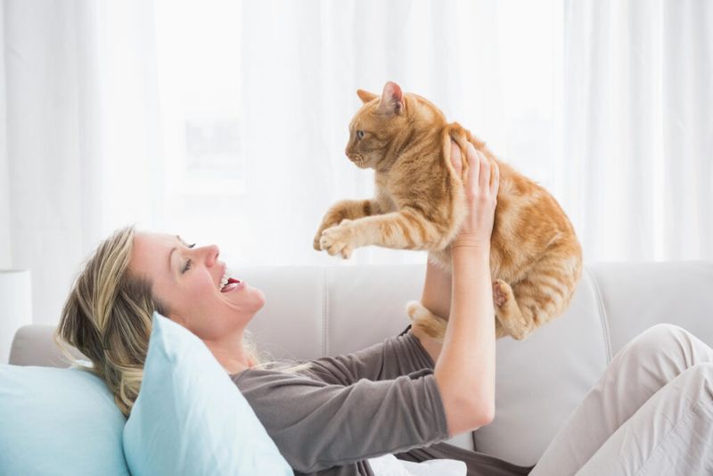 Never Punish Your Cat