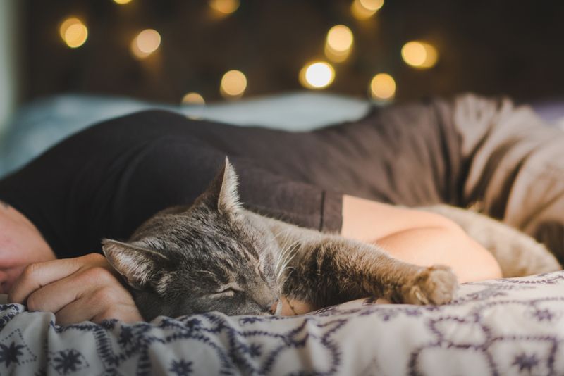 Nighttime Cuddles Emerge