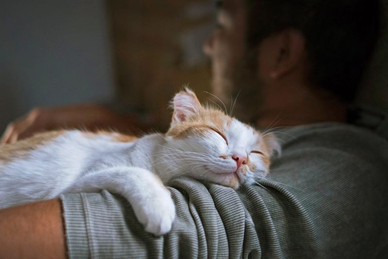 Nighttime Cuddles When Defenses Are Down