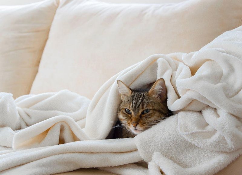 No Guilt-Inducing Walks Required