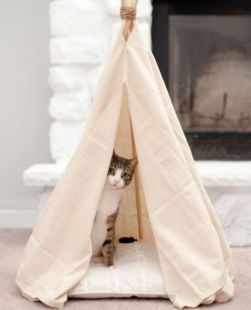 No-Sew Cat Tent