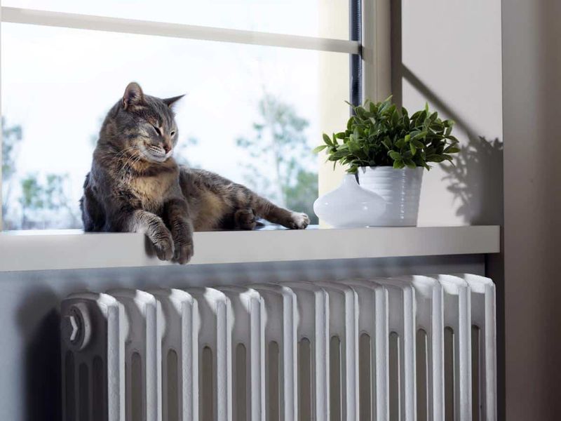 Noisy Radiator Nooks