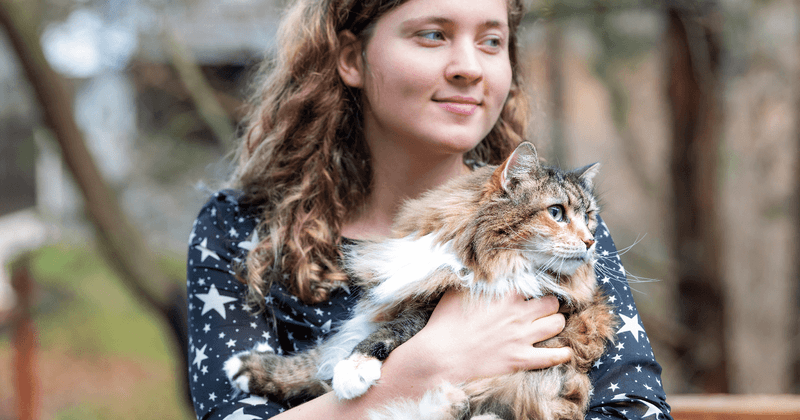 Norwegian Forest Cat
